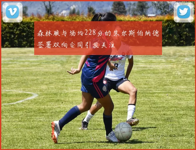 森林狼与场均228分的朱尔斯伯纳德签署双向合同引发关注